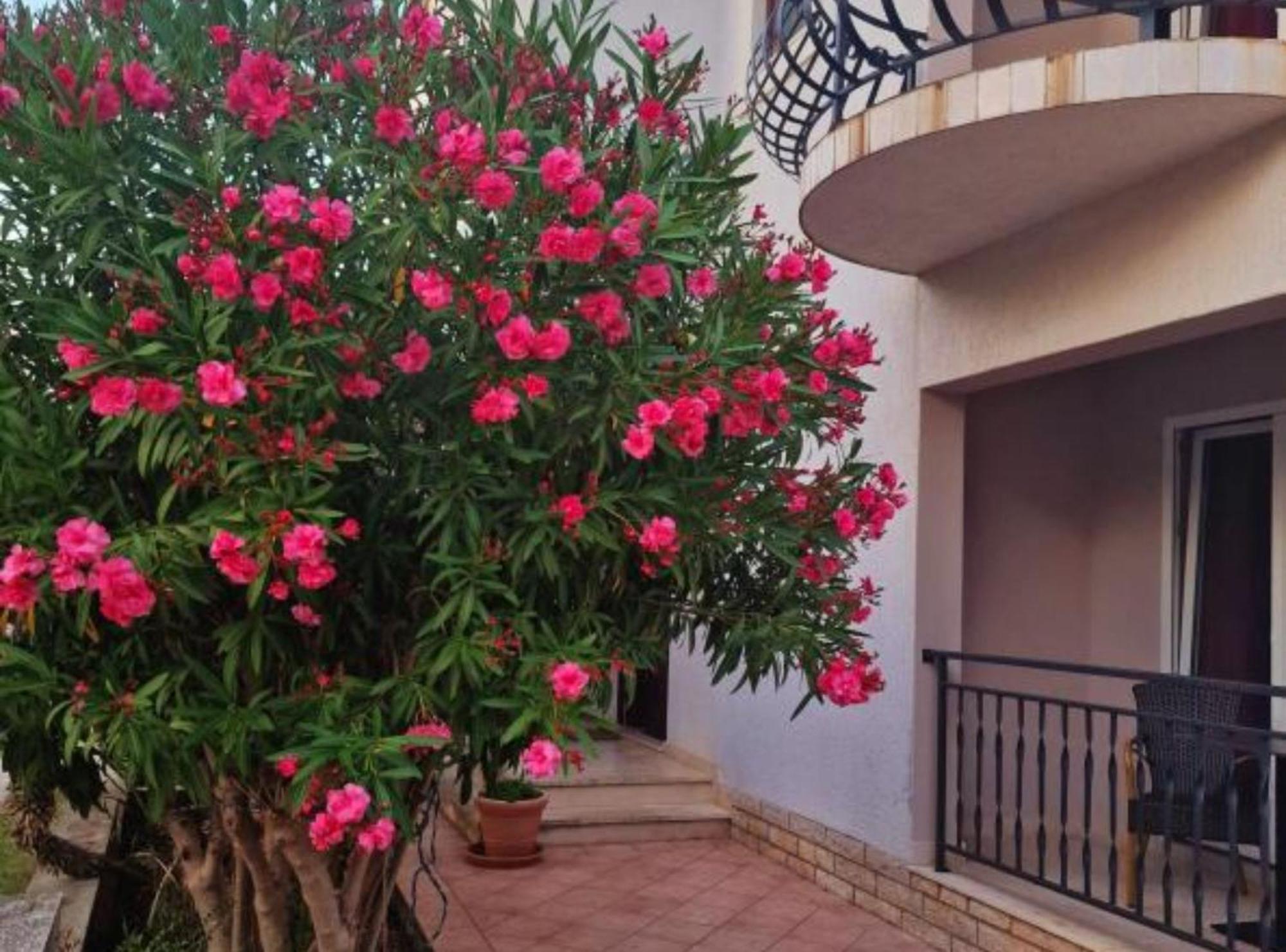 مالي لوشينغْ Pansion Belvedere المظهر الخارجي الصورة
